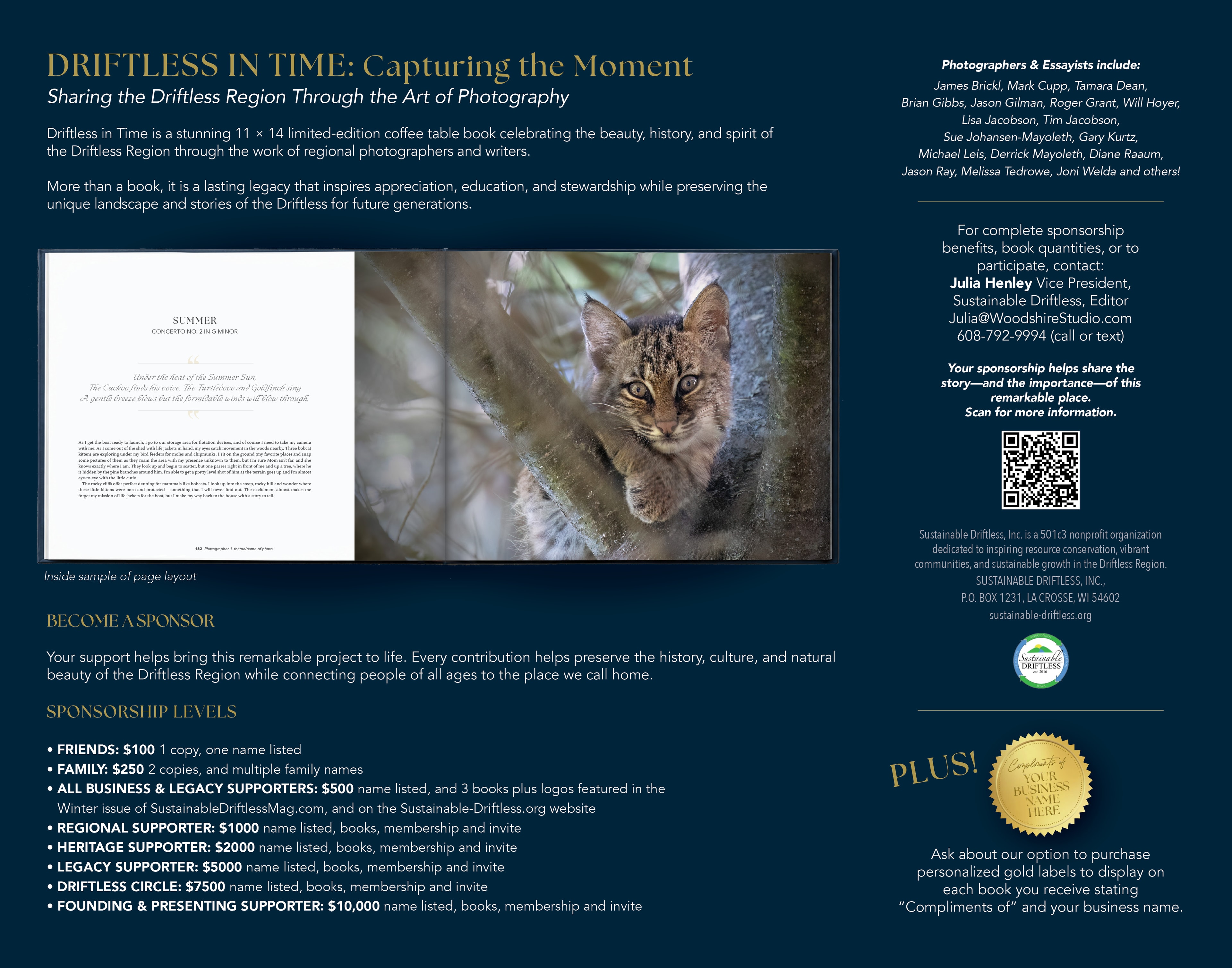 Driftless in Time brochure inside spread — sponsorship levels and project details